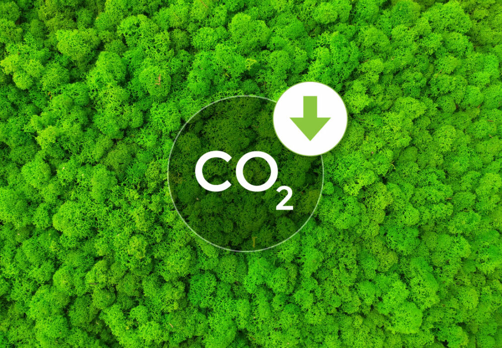 Top Tips to Reduce Your Carbon Footprint for and beyond Top image